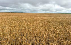 Drummond  Area, Drummond, OK 73735