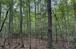 0 Best Road, Simsboro, LA 71275