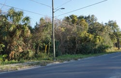 PALMETTO STREET, EUSTIS, FL 32726