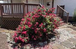 603 West Stuart Drive, Galax, VA 24333