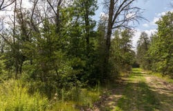 LOTS 8-14 ST LOUIS, IDLEWILD, MI 49642