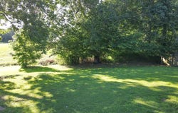 615 S McCombs, Martin, TN 38237