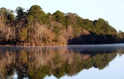 Tbd LONESTAR ROAD, Huntsville, TX 77340
