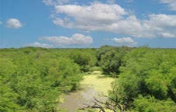 CR 331, Alice, TX 78332