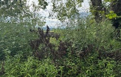 608 W Holt lot: 0, Lincoln, AR 72744