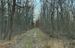 24965 Hammock Trail, Park Rapids, MN 56470
