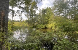 Pettey Road, Forest, MS 39074
