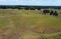 Smith Mcgee Road, Starr, SC 29684
