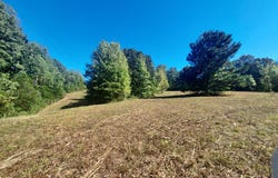 Old McKenzie Hwy, PARIS, TN 38242