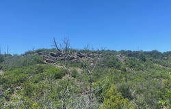 111 Cerro Montoso Rd, Taos, NM 87571