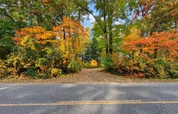 7861 Vestaburg Road, Vestaburg, MI 48891
