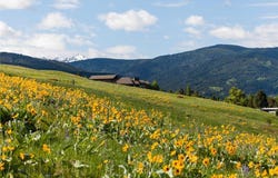 Sourdough Road lot: 5, Bozeman, MT 59715