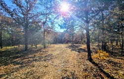 60 SE 136th Rd, Bengal, OK 74563
