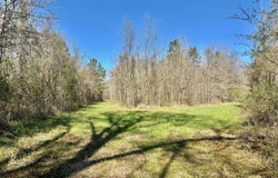 Swamp Road, Carthage, MS 39051