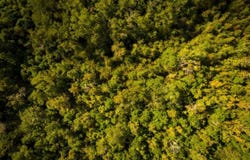Strong Road, Quincy, FL 32351-0000