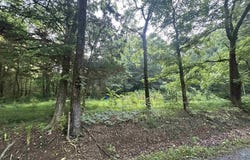 3.9 Acres County Road 212, Collinsville, AL 35961