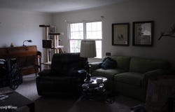 8612 Locust Ct, Louisville, KY 40242