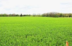 Gramer Road, Webberville, MI 48892