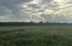 8616 Schuster Road, Round Top, TX 78954
