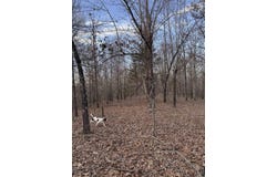 County Road 470, Rector, AR 72461