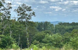 Lt 95 Timberline, Ellijay, GA 30540