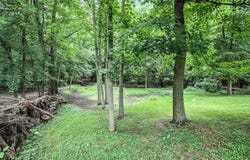 201 Sherman Street, Galien, MI 49113