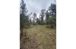 Lot 430 S Badger Trail, Ridgway, CO 81432