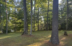 VL .65 AC Ridge Road, Mackinaw City, MI 49701