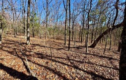 Liberty Hill Road lot: Wp001, Natural Dam, AR 72948