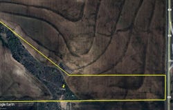 Tba FM 2405, Ovalo, TX 79541