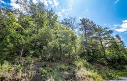 Lots 8, 9, and 10 STAR TANNERY ROAD, STAR TANNERY, VA 22654