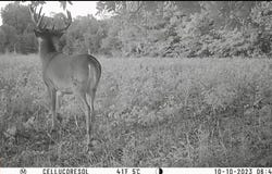 000 State Route 295 North, Kuttawa, KY 42055