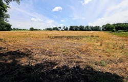 Vl E Kinsel Hwy Lot#WP001, Charlotte, MI 48813