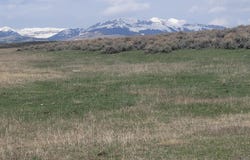 Tbd COTTONWOOD-RYE GRASS 23-117, Daniel, WY 83115