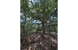 694 Brite RD, Lockhart, TX 78644