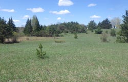 39 Road, Cadillac, MI 49601