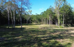 727 Crystal Lake Trail, Huger, SC 29540