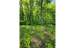 17647 Summerhill Lane, New Buffalo, MI 49117