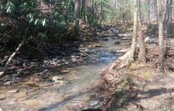 255 & 329 Copperhead Rd, Oakdale, TN 37829