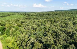 0 0 SE Rocky Rd/Ball Rd, Bradford, AR 72020