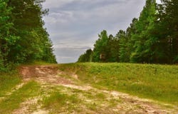 Nevada 161, Willisville, AR 71864
