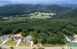 49 Watson Grande Way SE, Owens Cross Roads, AL 35763