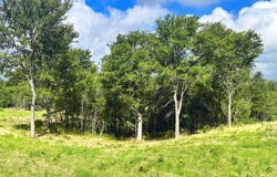 Lot 62 & Bs #20 Sunset Court, Corsicana, TX 75109