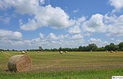 County RD P33 Parcel #890028994, Blair, NE 68008