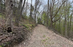 00 Main St, Bradford, PA 16701
