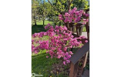 16 High School Boulevard, Greene, IA 50636