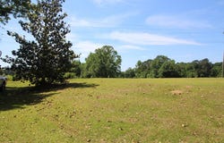 395 Sharon Moss Road, Sharon, MS 39443