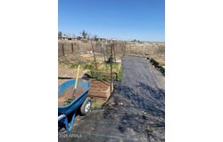 8987 N Coffman Road, McNeal, AZ 85617