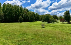 Pratt, Lexington, TN 38351
