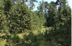 County Rd 79, Fordyce, AR 71742